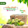 Amropali-Mango