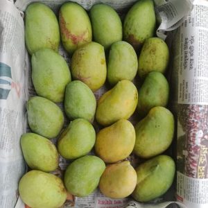 Himshagor 3