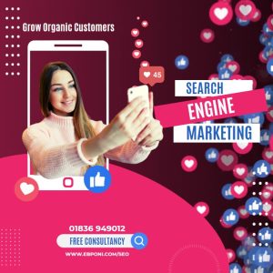 seo service