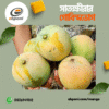 Gobindovog satkhira
